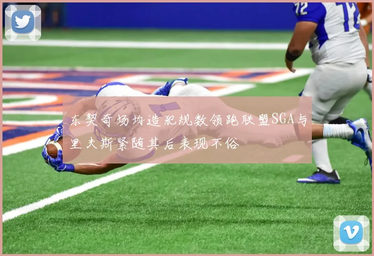 东契奇场均造犯规数领跑联盟SGA与里夫斯紧随其后表现不俗
