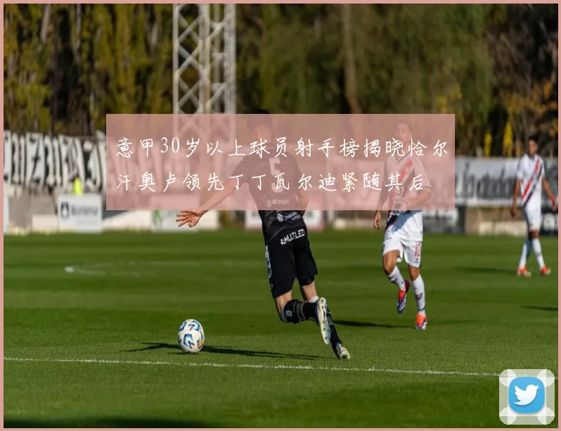 意甲30岁以上球员射手榜揭晓恰尔汗奥卢领先丁丁瓦尔迪紧随其后